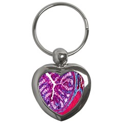 Histology Inc Histo Logistics Incorporated Masson s Trichrome Three Colour Staining Key Chains (heart)  by Mariart