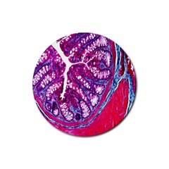 Histology Inc Histo Logistics Incorporated Masson s Trichrome Three Colour Staining Rubber Coaster (round) 