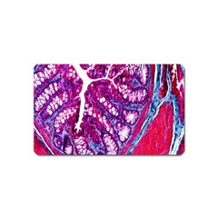 Histology Inc Histo Logistics Incorporated Masson s Trichrome Three Colour Staining Magnet (name Card)