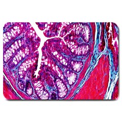 Histology Inc Histo Logistics Incorporated Masson s Trichrome Three Colour Staining Large Doormat  by Mariart