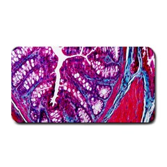 Histology Inc Histo Logistics Incorporated Masson s Trichrome Three Colour Staining Medium Bar Mats by Mariart