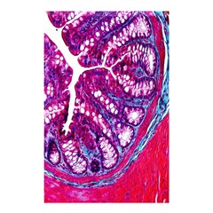 Histology Inc Histo Logistics Incorporated Masson s Trichrome Three Colour Staining Shower Curtain 48  X 72  (small) 