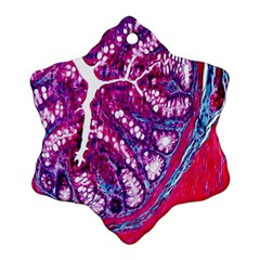 Histology Inc Histo Logistics Incorporated Masson s Trichrome Three Colour Staining Ornament (snowflake) by Mariart