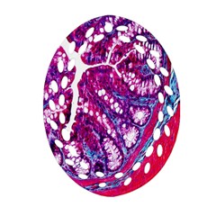 Histology Inc Histo Logistics Incorporated Masson s Trichrome Three Colour Staining Oval Filigree Ornament (two Sides) by Mariart