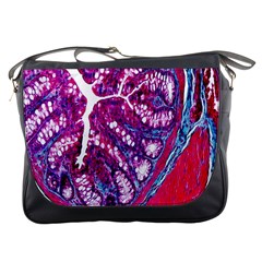Histology Inc Histo Logistics Incorporated Masson s Trichrome Three Colour Staining Messenger Bags