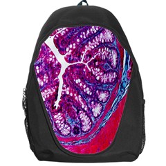 Histology Inc Histo Logistics Incorporated Masson s Trichrome Three Colour Staining Backpack Bag