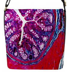 Histology Inc Histo Logistics Incorporated Masson s Trichrome Three Colour Staining Flap Messenger Bag (s)