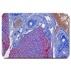 Histology Inc Histo Logistics Incorporated Human Liver Rhodanine Stain Copper Large Doormat 