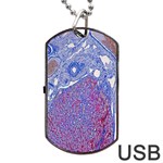 Histology Inc Histo Logistics Incorporated Human Liver Rhodanine Stain Copper Dog Tag USB Flash (One Side) Front