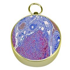 Histology Inc Histo Logistics Incorporated Human Liver Rhodanine Stain Copper Gold Compasses by Mariart