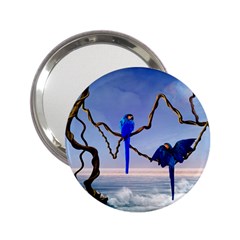Wonderful Blue  Parrot Looking To The Ocean 2 25  Handbag Mirrors by FantasyWorld7