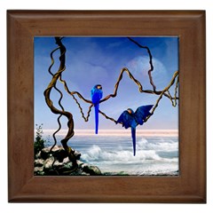Wonderful Blue  Parrot Looking To The Ocean Framed Tiles by FantasyWorld7