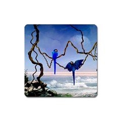 Wonderful Blue  Parrot Looking To The Ocean Square Magnet by FantasyWorld7