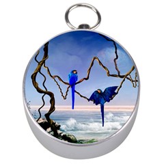 Wonderful Blue  Parrot Looking To The Ocean Silver Compasses by FantasyWorld7