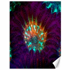 Live Green Brain Goniastrea Underwater Corals Consist Small Canvas 36  X 48   by Mariart