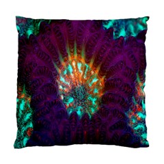 Live Green Brain Goniastrea Underwater Corals Consist Small Standard Cushion Case (one Side)