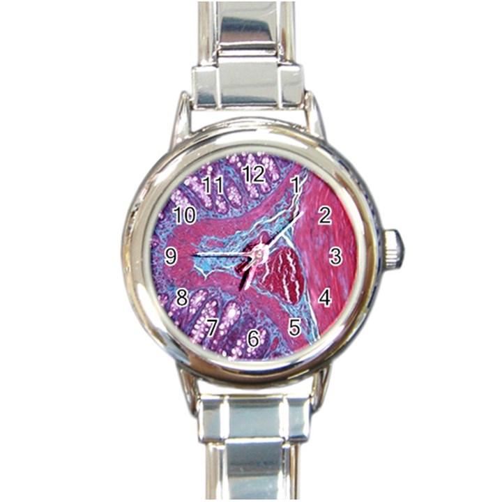 Natural Stone Red Blue Space Explore Medical Illustration Alternative Round Italian Charm Watch