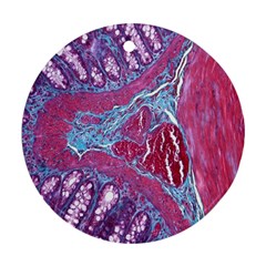 Natural Stone Red Blue Space Explore Medical Illustration Alternative Round Ornament (two Sides) by Mariart