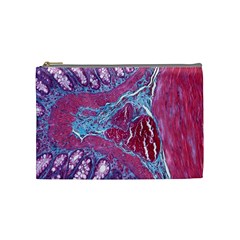 Natural Stone Red Blue Space Explore Medical Illustration Alternative Cosmetic Bag (medium) 