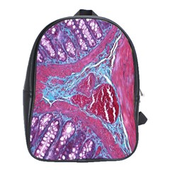 Natural Stone Red Blue Space Explore Medical Illustration Alternative School Bag (xl) by Mariart