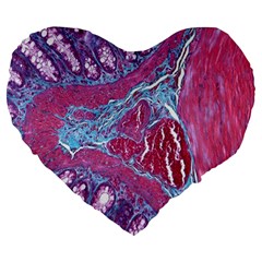 Natural Stone Red Blue Space Explore Medical Illustration Alternative Large 19  Premium Heart Shape Cushions by Mariart