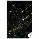 Neurons Light Neon Net Canvas 24  x 36  23.35 x34.74  Canvas - 1