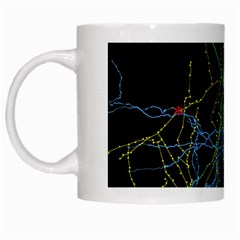 Synaptic Connections Between Pyramida Neurons And Gabaergic Interneurons Were Labeled Biotin During White Mugs