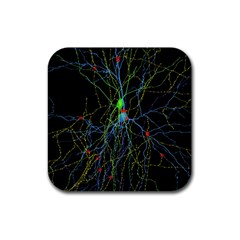 Synaptic Connections Between Pyramida Neurons And Gabaergic Interneurons Were Labeled Biotin During Rubber Coaster (square)  by Mariart