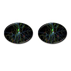 Synaptic Connections Between Pyramida Neurons And Gabaergic Interneurons Were Labeled Biotin During Cufflinks (oval)