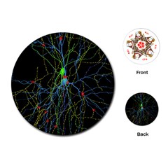 Synaptic Connections Between Pyramida Neurons And Gabaergic Interneurons Were Labeled Biotin During Playing Cards (round) 