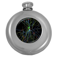 Synaptic Connections Between Pyramida Neurons And Gabaergic Interneurons Were Labeled Biotin During Round Hip Flask (5 Oz) by Mariart