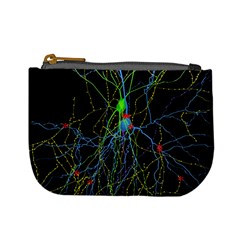 Synaptic Connections Between Pyramida Neurons And Gabaergic Interneurons Were Labeled Biotin During Mini Coin Purses