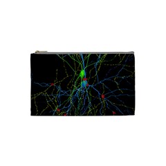 Synaptic Connections Between Pyramida Neurons And Gabaergic Interneurons Were Labeled Biotin During Cosmetic Bag (small)  by Mariart