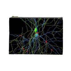 Synaptic Connections Between Pyramida Neurons And Gabaergic Interneurons Were Labeled Biotin During Cosmetic Bag (large) 