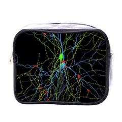 Synaptic Connections Between Pyramida Neurons And Gabaergic Interneurons Were Labeled Biotin During Mini Toiletries Bags