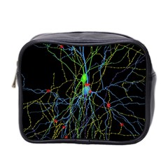 Synaptic Connections Between Pyramida Neurons And Gabaergic Interneurons Were Labeled Biotin During Mini Toiletries Bag 2-side