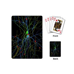 Synaptic Connections Between Pyramida Neurons And Gabaergic Interneurons Were Labeled Biotin During Playing Cards (mini) 