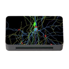 Synaptic Connections Between Pyramida Neurons And Gabaergic Interneurons Were Labeled Biotin During Memory Card Reader With Cf by Mariart