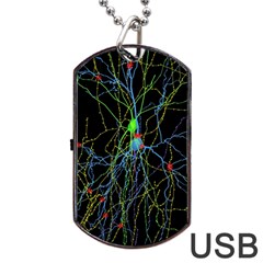 Synaptic Connections Between Pyramida Neurons And Gabaergic Interneurons Were Labeled Biotin During Dog Tag Usb Flash (one Side)