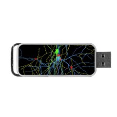 Synaptic Connections Between Pyramida Neurons And Gabaergic Interneurons Were Labeled Biotin During Portable Usb Flash (two Sides) by Mariart
