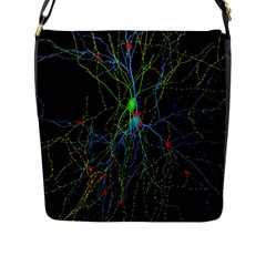 Synaptic Connections Between Pyramida Neurons And Gabaergic Interneurons Were Labeled Biotin During Flap Messenger Bag (l)  by Mariart