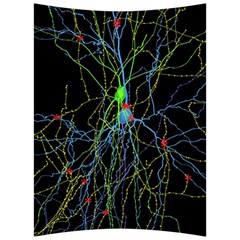 Synaptic Connections Between Pyramida Neurons And Gabaergic Interneurons Were Labeled Biotin During Back Support Cushion by Mariart