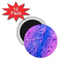 The Luxol Fast Blue Myelin Stain 1 75  Magnets (10 Pack) 