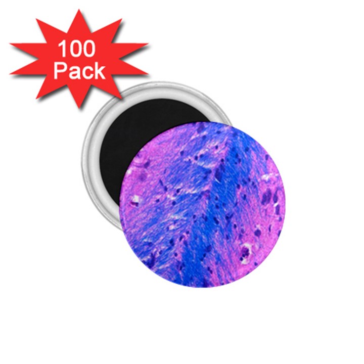 The Luxol Fast Blue Myelin Stain 1.75  Magnets (100 pack) 