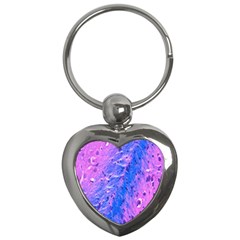 The Luxol Fast Blue Myelin Stain Key Chains (heart) 