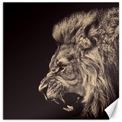 Angry Male Lion Canvas 12  x 12  