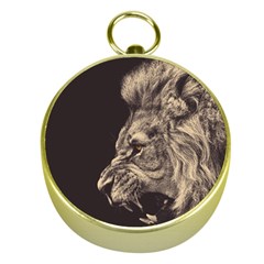 Angry Male Lion Gold Compasses