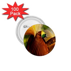 Birds Paradise Cendrawasih 1 75  Buttons (100 Pack)  by Mariart