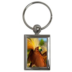 Birds Paradise Cendrawasih Key Chains (rectangle)  by Mariart