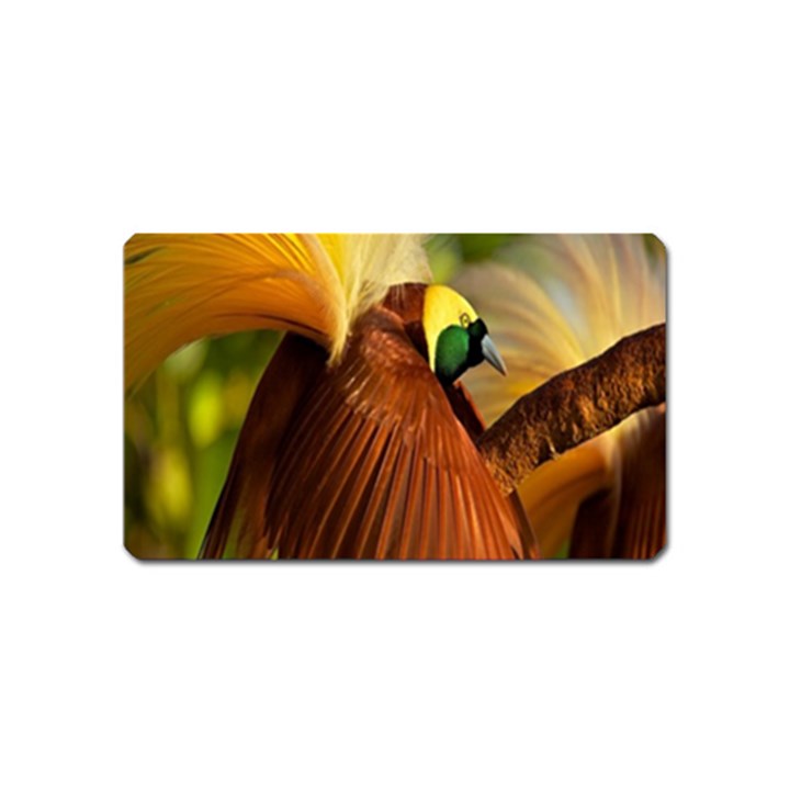 Birds Paradise Cendrawasih Magnet (Name Card)